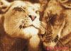 19904.thumb.jpg.e01abecbc9adc9d2f15b66c3b6e0aa72.jpg