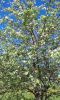 20180521_132240.thumb.jpg.ba2d64b2d5b471f37f6a217c55991797.jpg