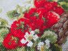 20230416_084744.thumb.jpg.e5032df5e6ccdcb747903ba2a81f2e04.jpg