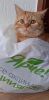 20230429_122952.thumb.jpg.9712c7cacad201fe297bb31858aee0f2.jpg
