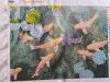 20230501_154712.thumb.jpg.817617fe87e7c6ae7ba92d8a0042c7d9.jpg?1684411709148