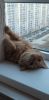 20230504_200334.thumb.jpg.33633bdf15762ecc0be77ba2918cfdc3.jpg