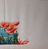 20230510_234739.thumb.jpg.cef2f4c28d44fd078220a0f583a6939e.jpg?1683753799388