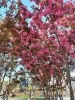 20230512_091106.thumb.jpg.ac9bfa5693edf466cc03b367893a5b04.jpg
