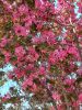 20230512_091117.thumb.jpg.b65c032d1ddba416e9d73e46ccaa5245.jpg