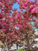 20230512_091229.thumb.jpg.efaf5e45bd57ee169ee7fe5ce66d057d.jpg