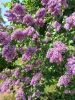 20230526_105629.thumb.jpg.e9bf57b89818e1070ba125297d1827e6.jpg