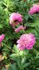 20230528_084323.thumb.jpg.64ab9011695366cd17d63837028ed50b.jpg