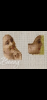 2854620F-AB22-4939-8AB9-EDB568ADBBBC.png