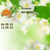 288247541_1.thumb.jpeg.4eaaa0b1dce086cd56e339f1fa7b3497.jpeg