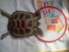 331119269_.thumb.jpg.add481838bbd5f08df9ca48c746abd55.jpg