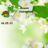 333845190_10.thumb.jpeg.cc57a96b942e53a2af34ade583dbda85.jpeg