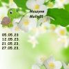349672493_3.thumb.jpeg.681f33fc8efbf45a4ea683da938a62cd.jpeg