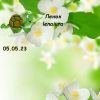 4231179_9.thumb.jpeg.f52e6526a2ea5082917cd55295b285ee.jpeg