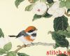 51074.thumb.jpg.688155ea9cfe36193f98fbf85706d43b.jpg