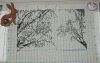 799424987_16.thumb.JPG.9aac5a95db1eecc940985ca05da361df.JPG