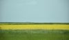 999314808_DSC_5884(2).thumb.jpg.9f0170bb622e6fa87ab6d870eae4ce63.jpg