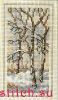 CD6D6062-AC43-4A73-BF10-1D4BDE2707AD.thumb.jpeg.39a2420023b3a5b072a97dd0ceb8c75b.jpeg
