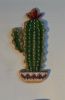 Cactus3.JPG.9ffc3d04d7270a8cf3bccb70fbdd9da3.thumb.jpg.ef0dd5876ec5516b96b582fad0afb159.jpg