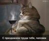 D21C4B8B-1946-4DA8-A30A-06911B8EADF1.thumb.jpeg.51cba32eb8fcb5e76e8d8750c978b09e.jpeg