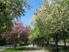 DSC08731.thumb.JPG.5a5b7a47d64e85d578bb611358bb8d3c.JPG