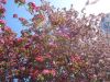 DSC08734.thumb.JPG.3178c8bef81a8c935cc4239ece0d19ad.JPG