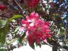 DSC08738.thumb.JPG.3a3cbf856ad4462cb0d4c7e9d9164221.JPG