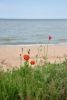 DSC_5889.thumb.JPG.215e34ecbfa6fa8b091ce5d8eeefed62.JPG