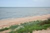 DSC_5892.thumb.JPG.c6df38744b9cdbebc34f1972127073cf.JPG