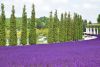 DSC_6066.thumb.JPG.274d4f284f119341a8a10766cca235f7.JPG