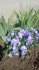 IMG-20230515-WA0005.thumb.jpg.9bb5b072c74bcb0862590252c37575c4.jpg