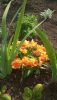 IMG-20230515-WA0007.thumb.jpg.9da184317d566fc51b6e69f25b320931.jpg