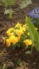 IMG-20230515-WA0009.thumb.jpg.12efa9007dc6e37abab9fed4bc5db534.jpg