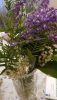 IMG-20230521-WA0022.thumb.jpeg.0c6331cb1f32e52bb683c8e41ee779f7.jpeg