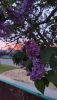 IMG20230509194833.thumb.jpg.eb3867f3ad30ff75f574d5052e2bdf9a.jpg