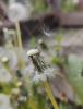 IMG20230513121144.thumb.jpg.39b749b4ab400514b9dd8ea11bab0c9a.jpg