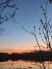 IMG_20230422_202839.thumb.jpg.b272496a51d0a75824003833f5439ca3.jpg
