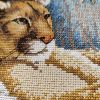 IMG_20230430_192956.thumb.jpg.820fce496ac9709a5ee3c6b70c8817fc.jpg