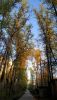 IMG_20230501_004042.thumb.jpg.0a93830ba596c01e63b65375f11469cb.jpg