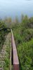 IMG_20230501_111559.thumb.jpg.9e4bddc7a4b2c29806a3a71647d7577f.jpg