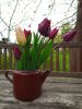 IMG_20230501_153851.thumb.jpg.536f7107a4fe3fff301c84f734a68726.jpg