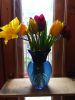 IMG_20230501_172040.thumb.jpg.e415fb09d49e51d3e542e6fc3541a341.jpg