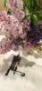 IMG_20230502_225758.thumb.jpg.6ad037b70f8255a2ea18a0acb18daa32.jpg