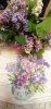 IMG_20230503_212251.thumb.jpg.21b49fa8ccf2b5231fff9cff8f157994.jpg