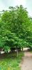 IMG_20230505_125024.thumb.jpg.b262648cb56562049784fa76e30e1ccc.jpg