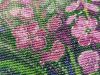 IMG_20230506_105349.thumb.jpg.79826abfe6e4c340f99756325d8fe5bf.jpg