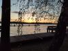 IMG_20230506_200810.thumb.jpg.0b759175e1a1d2685430f36776dd23c0.jpg