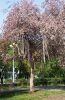 IMG_20230507_165458.thumb.jpg.a1d3f9ed58bc8dac92eeac796cfcdcd3.jpg