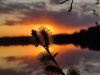 IMG_20230507_201236.thumb.jpg.86d0952a0e3a8ff55de08d340f254448.jpg