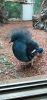 IMG_20230508_144949.thumb.jpg.a03cbce59fd8cfdf71384a43044bfdc4.jpg